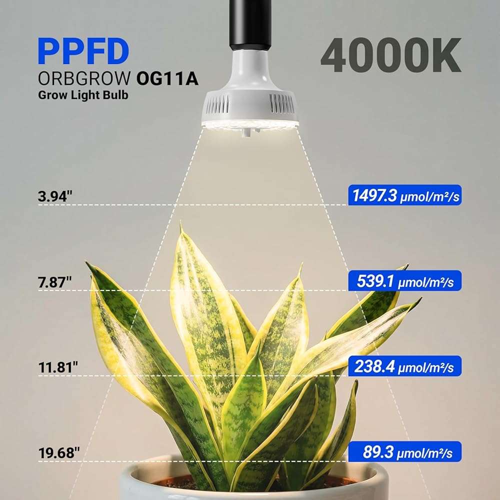 Barrina Orbgrow OG11A Grow Light Bulbs for Indoor Plants, Integrated Dimming & Timing, 4000K 11W(100 Watt Equiv), E26 Plant Light Bulb, Full Spectrum, High PPFD for Seeds and Greens, 1 Pack, White - Image 2