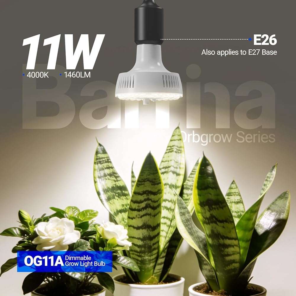 Barrina Orbgrow OG11A Grow Light Bulbs for Indoor Plants, Integrated Dimming & Timing, 4000K 11W(100 Watt Equiv), E26 Plant Light Bulb, Full Spectrum, High PPFD for Seeds and Greens, 1 Pack, White - Image 3
