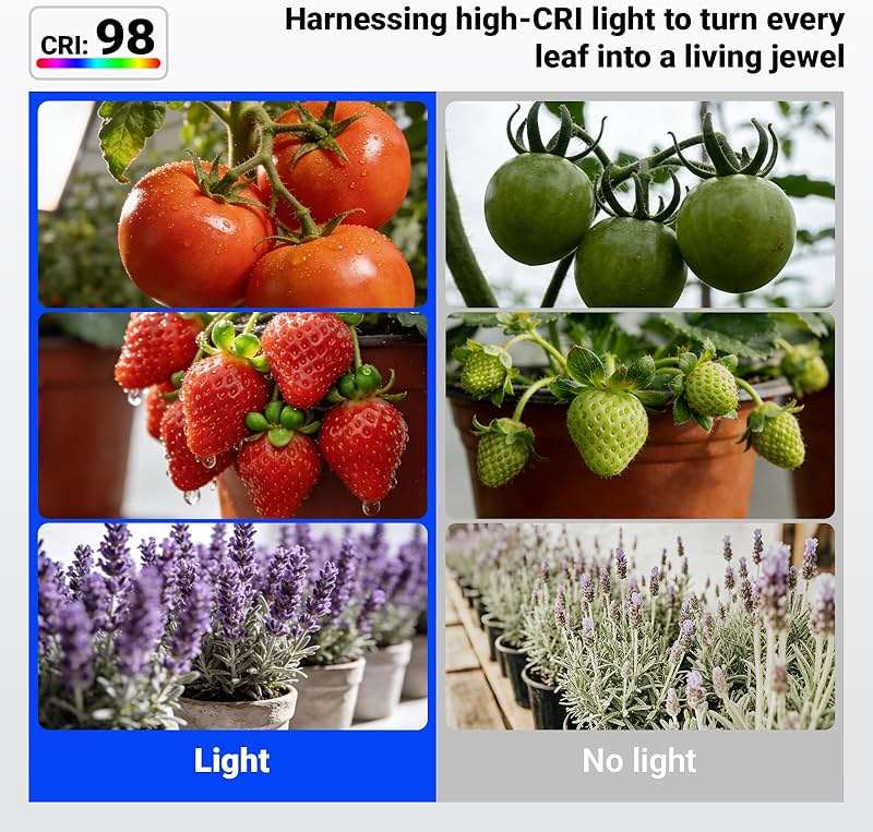 Barrina Orbgrow OG11A Grow Light Bulbs for Indoor Plants, Integrated Dimming & Timing, 4000K 11W(100 Watt Equiv), E26 Plant Light Bulb, Full Spectrum, High PPFD for Seeds and Greens, 1 Pack, White - Image 8