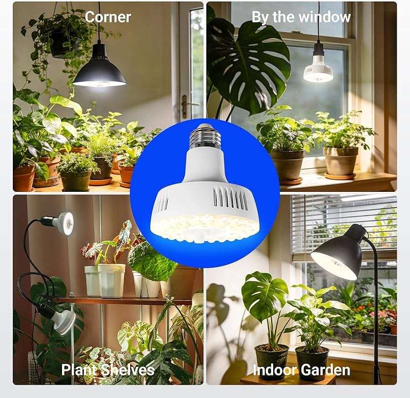 Barrina Orbgrow OG11A Grow Light Bulbs for Indoor Plants, Integrated Dimming & Timing, 4000K 11W(100 Watt Equiv), E26 Plant Light Bulb, Full Spectrum, High PPFD for Seeds and Greens, 1 Pack, White - Image 9