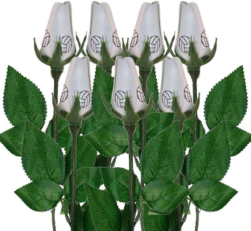 Bloepum Softball Rose Sport Leather Rose Handmade Artificial Softball Flowers Gift for Softball Mom Fans Team Graduation,E - Image 1