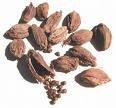 Black Cardamom (Elcha) 3.5oz