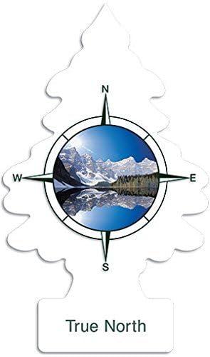 Little Trees True North Scent Air Freshener, 24 Pack - Image 2