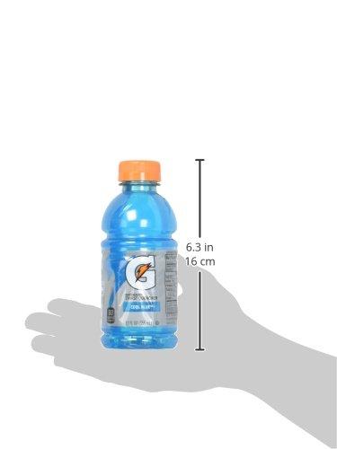 Gatorade Thirst Quencher, Fruit Punch and Cool Blue Variety Pack, 12 Ounce (Pack of 24) - Image 8