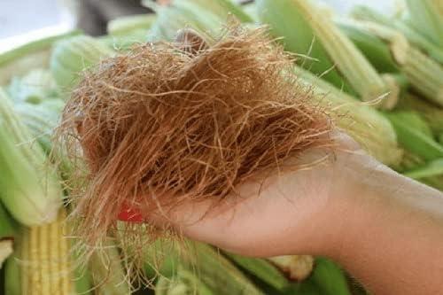 Barbas de Elote 4 oz Pelos De Elote Herbal Tea (Cornsilk Tea) - 100% All Natural Fresh Tea - Image 5