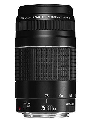 Canon EF 75-300mm f/4-5.6 III Telephoto Zoom Lens for Canon SLR Cameras - Image 6