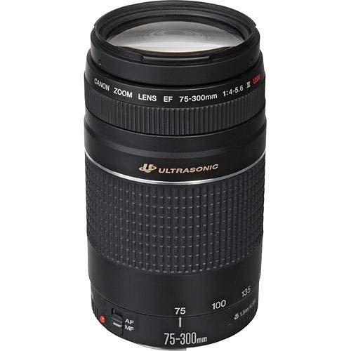 Canon EF 75-300mm f/4-5.6 III Telephoto Zoom Lens for Canon SLR Cameras - Image 4