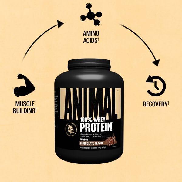 Animal 100% Whey Protein Powder – Whey Blend for Pre Workout or Post Workout, Recovery, or an Anytime Low Sugar Protein Boost Meal Replacement with BCAA Branched Chain Amino Acids – Chocolate, 4 lb - Image 3