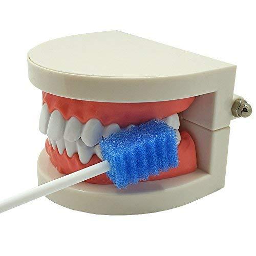 MUNKCARE Oral Care Swabs Disposable- Blue 100 Counts - Image 9