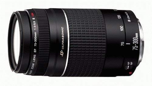 Canon EF 75-300mm f/4-5.6 III Telephoto Zoom Lens for Canon SLR Cameras - Image 5
