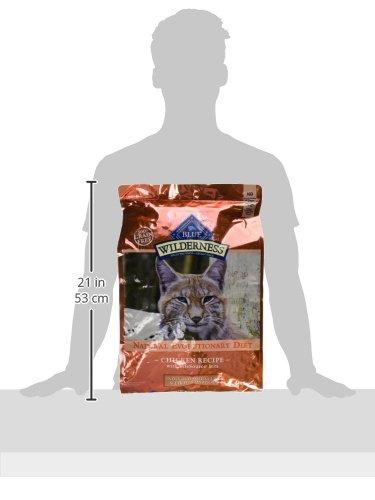 Blue Buffalo Wilderness Adult Indoor Dry Cat Food, Indoor Hairball Control and Weight Control Formula, High-Protein and Grain-Free Diet, Made with Natural Ingredients, Chicken, 11-lb. Bag - Image 3