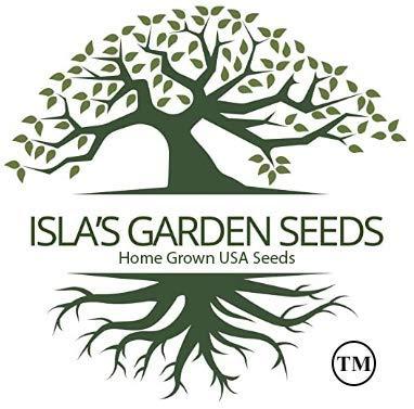 Buttercrunch Butterhead Lettuce Seeds for Planting, 1000 Heirloom Seeds Per Packet, (Isla's Garden Seeds), Non GMO Seeds, Botanical Name: Lactuca Sativa, Great Home Garden Gift - Image 8