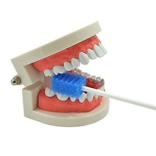 MUNKCARE Oral Care Swabs Disposable- Blue 100 Counts - Image 4