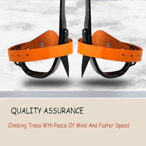 MIZHAO Tree Climbing Spikes Kit - Tree Climbing Gear Arborist Tree Climbing Kit for Tree Work, Climbing Sports Working 16.13 inches Yellow Brown - Image 4