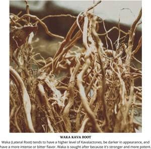 Starwest Botanicals Kava Kava Root C/S, 4 Ounces - Image 3