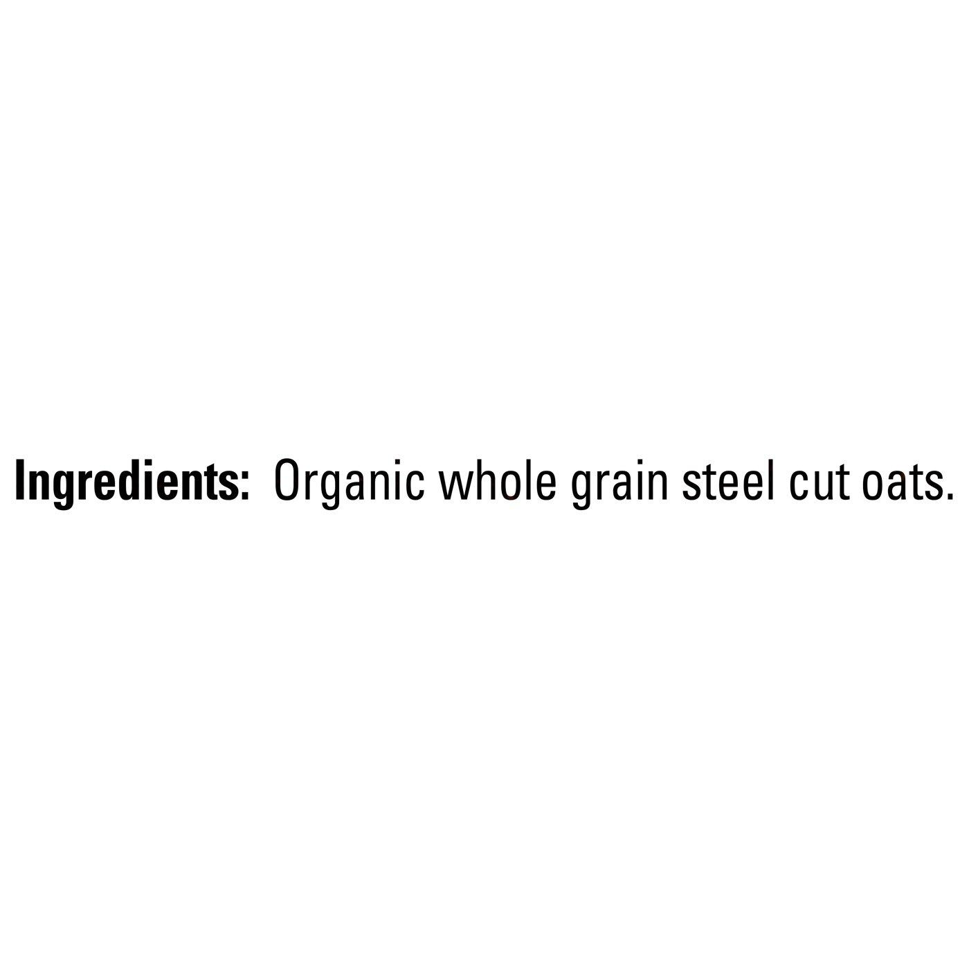 Quaker Steel Cut Oats, USDA Organic, Non GMO Project Verified, 20oz Resealable Bags (Pack of 4) - Image 3