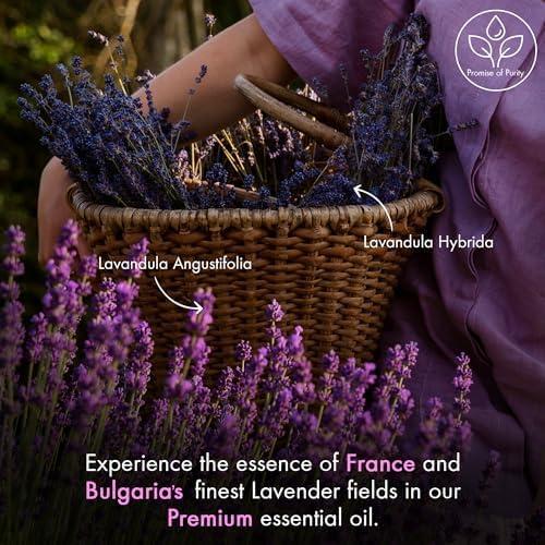 Majestic Pure Lavender Essential Oil with Glass Dropper - Huge 4 Fl Oz - 100% Pure and Natural Lavender Oil - Premium Grade Essential Oils for Diffuser, Aromatherapy, Soap and Candle Making - Image 3