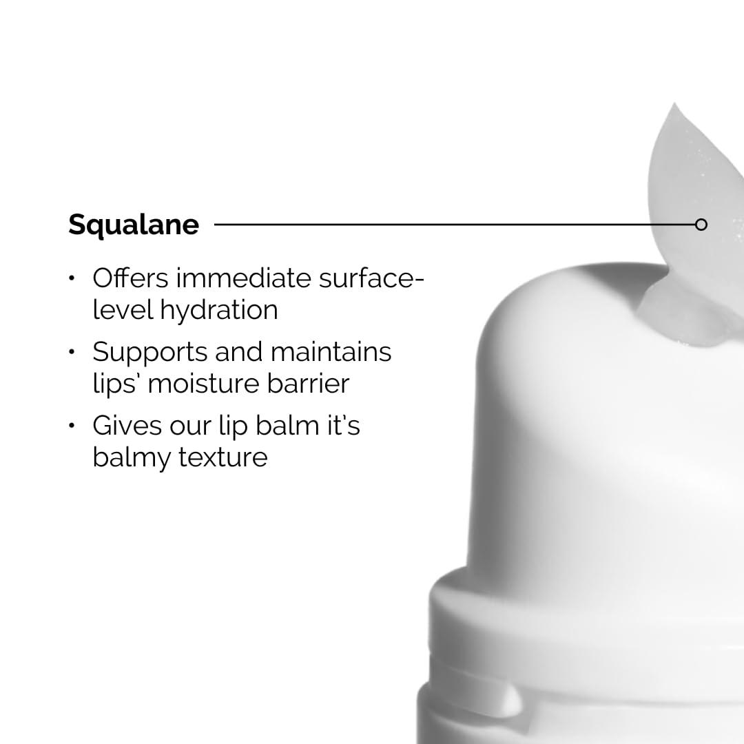 The Ordinary Squalane + Amino Acids Hydrating Lip Balm, for Lips, Elbows, and Cuticles, 0.5 Fl Oz - Image 3