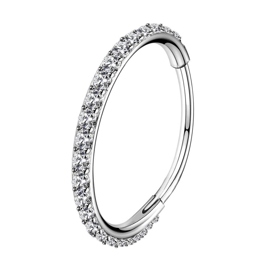 OUFER Nose Rings Surgical Steel Cartilage Earrings Tragus 316L Stainless Steel Helix Earrings Cartilage Earring 14G/16G/18G/20G Hinged Segment Rings Hoop