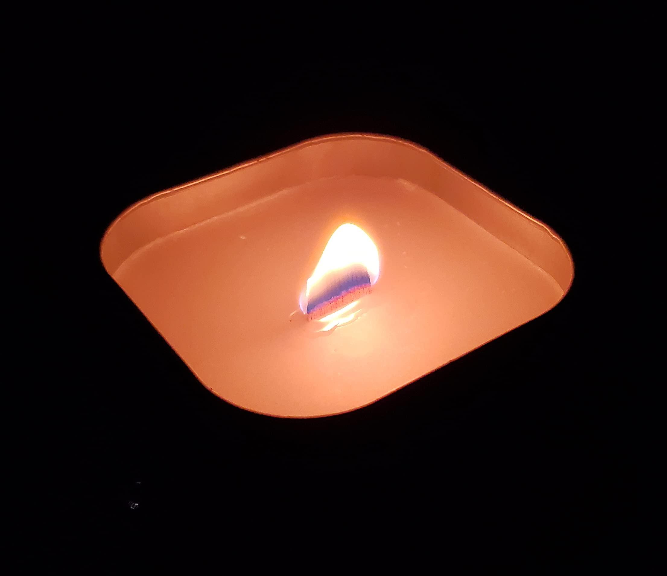 Coleman Pine Scented Citronella Candle with Wooden Crackle Wick - 6 oz Tin - Image 7