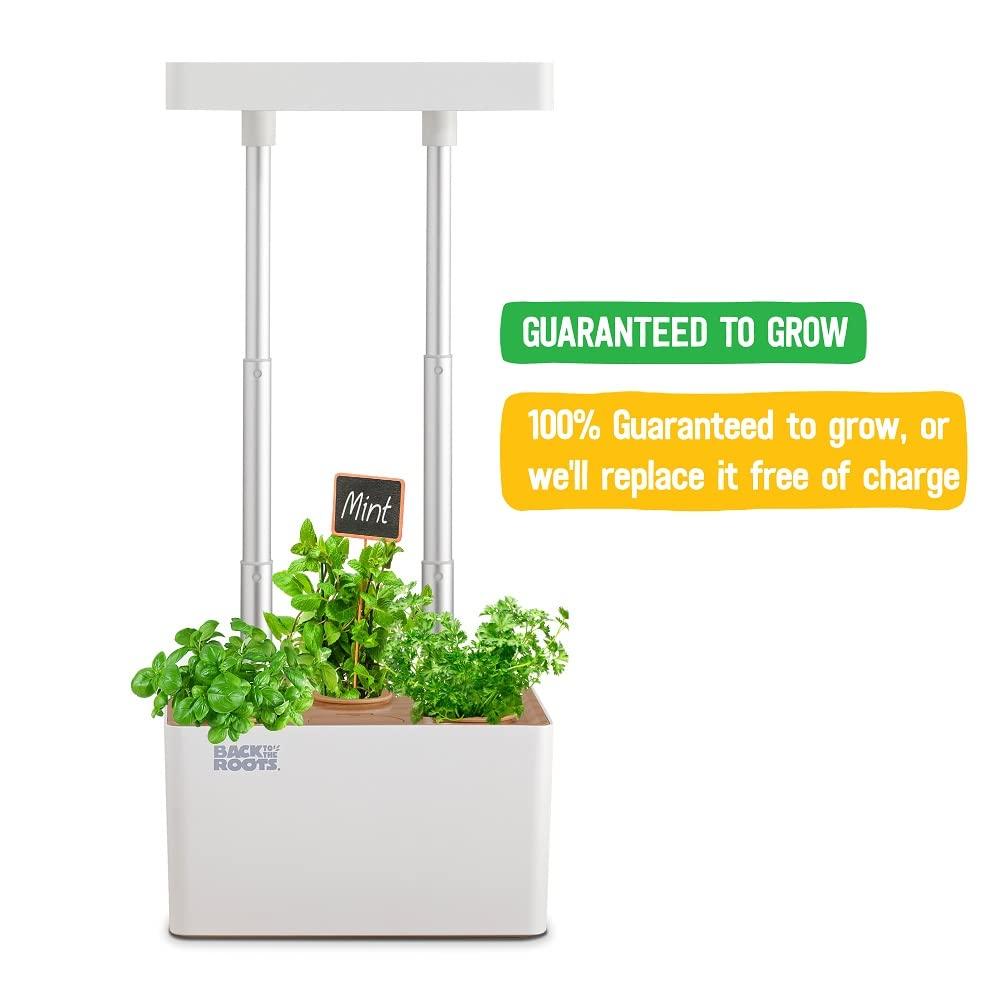 Back to the Roots Hydroponic Grow Kit, Indoor Garden with Light (Matte White), Organic Seeds Included, Gardening Gift, Everything Included - Image 6