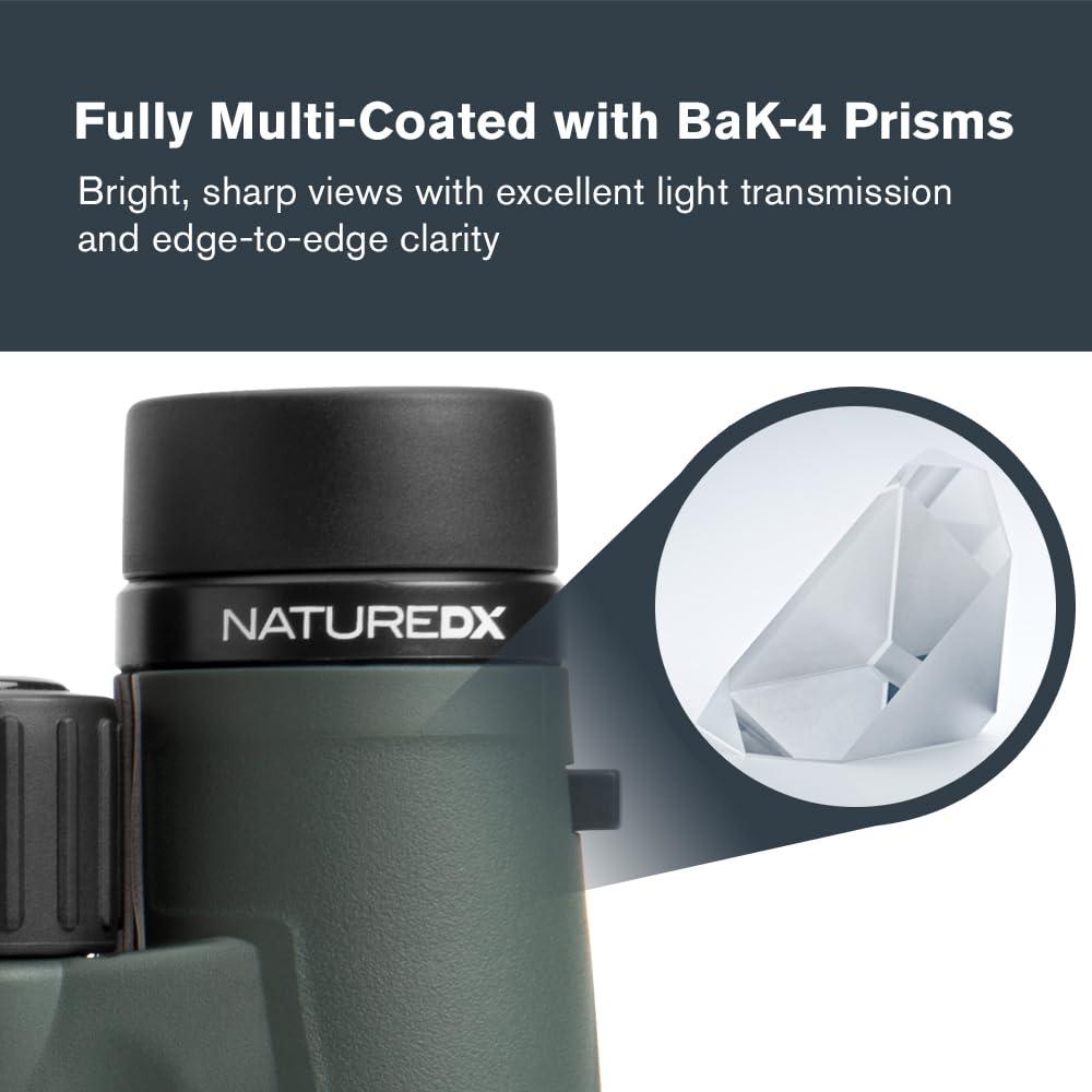 Celestron - Nature DX 8x42 Binoculars – Ideal for Birding and Outdoors – 42mm Objective Lenses – Wide 7.4° Field of View – BaK-4 Prisms – Fully Multi-Coated – Waterproof and Fogproof - Image 3