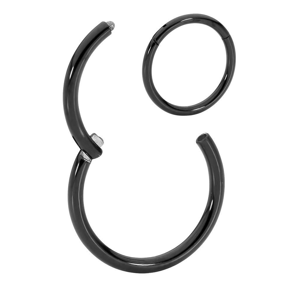 365 Sleepers Titanium Implant Grade Nose Rings 20G 18G 16G 14G 12G 10G 8G 6G Septum Jewelry Hinged Segment Ring Body Piercing Hoop Lip Rings Helix Cartilage Rook Earrings Nickel Free Hypoallergenic