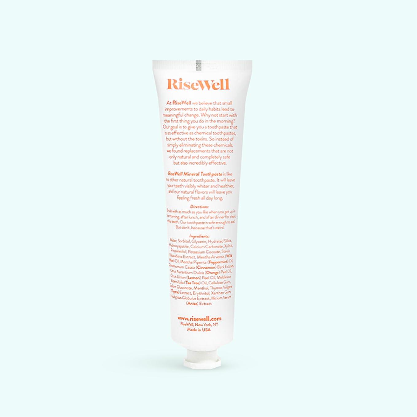 RiseWell Mineral Toothpaste - All Natural Toothpaste with Hydroxyapatite - Made in The USA, No Added Fluoride, SLS-Free - for a Stronger and Healthier Teeth, Wild Mint, 4 Oz - Image 2