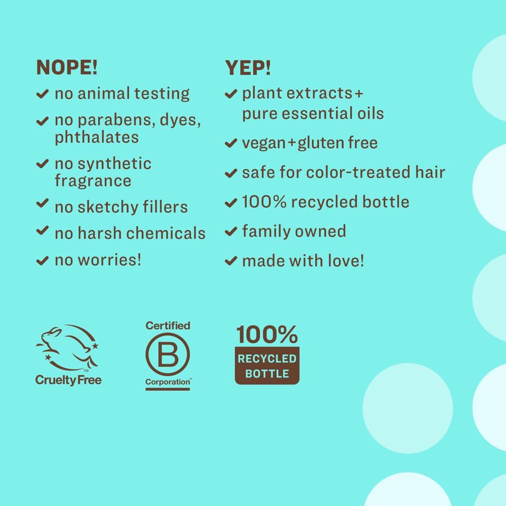 Everyone Hair Care Conditioner - Coconut & Lemon Mighty, 12 fl oz Bottle, Wash & Leave In Hydrating Conditioner, Deep Moisturizing, Sulfate Free & Paraben Free - Image 3