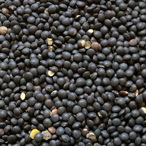 Hunza Organic Black Beluga Lentils (2-lbs) - Image 3