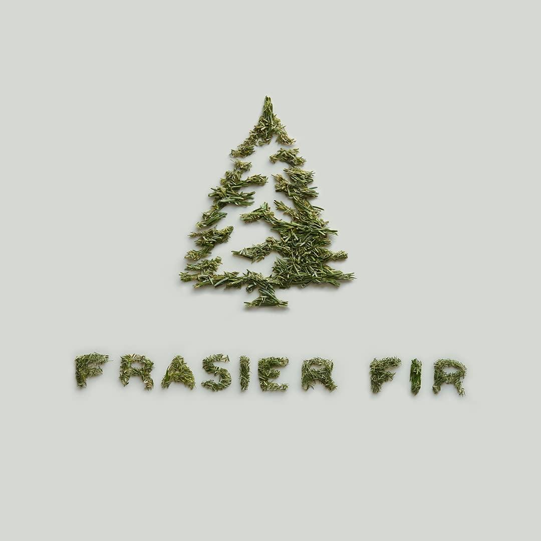 Thymes Frasier Fir Pine Needle Candle – Holiday Candles for Home Scented with Notes of Crisp Siberian Fir, Cedarwood & Sandalwood – Christmas Decor – Christmas Gifts for Women & Men (6.5 oz) - Image 9