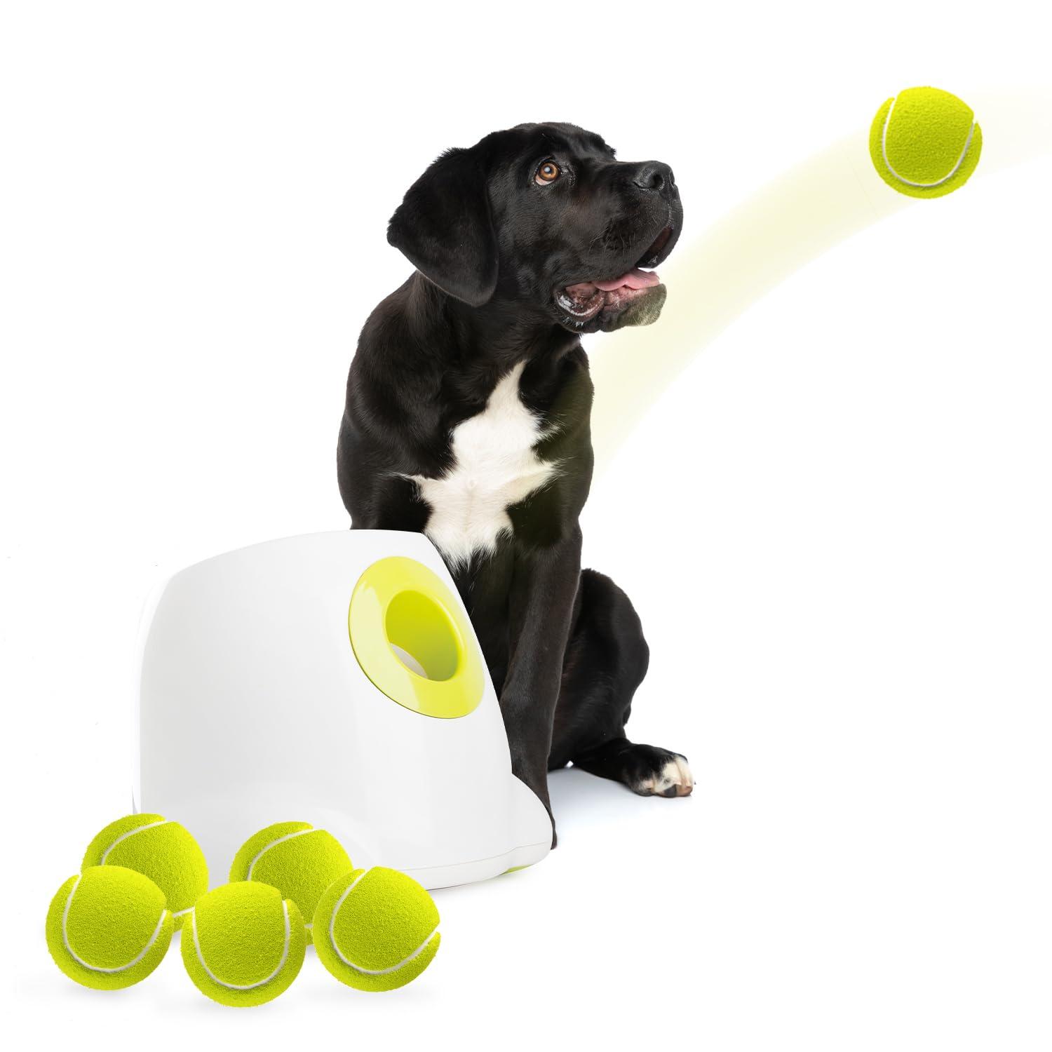 ALL FOR PAWS Automatic Dog Ball Launcher Maxi, Interactive Ball Thrower Dog Toys Includes 6pcs Tennis Balls for Large Dogs - Image 1