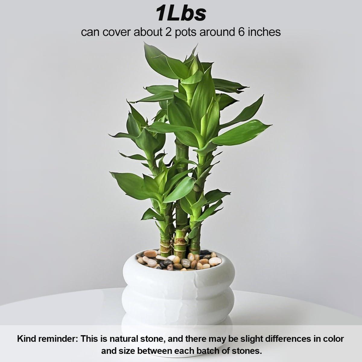 Virekm River Rocks, Decorative Ornamental Pebbles,Garden Landscaping Stones,Gravel Filler for Home Decoration Flower Bed Fish Tank Plants Vases Succulents - Image 3