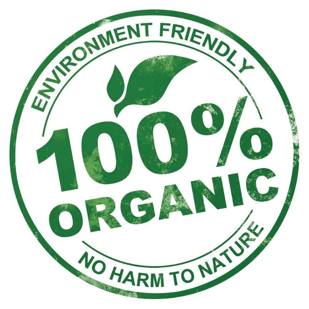 Vera Botanics ORGANIC CHIA SEED OIL 100% Pure & Natural, Unrefined, Cold-Pressed For Face, Dry Skin, Nails, Lips, Body & Hair - Image 7