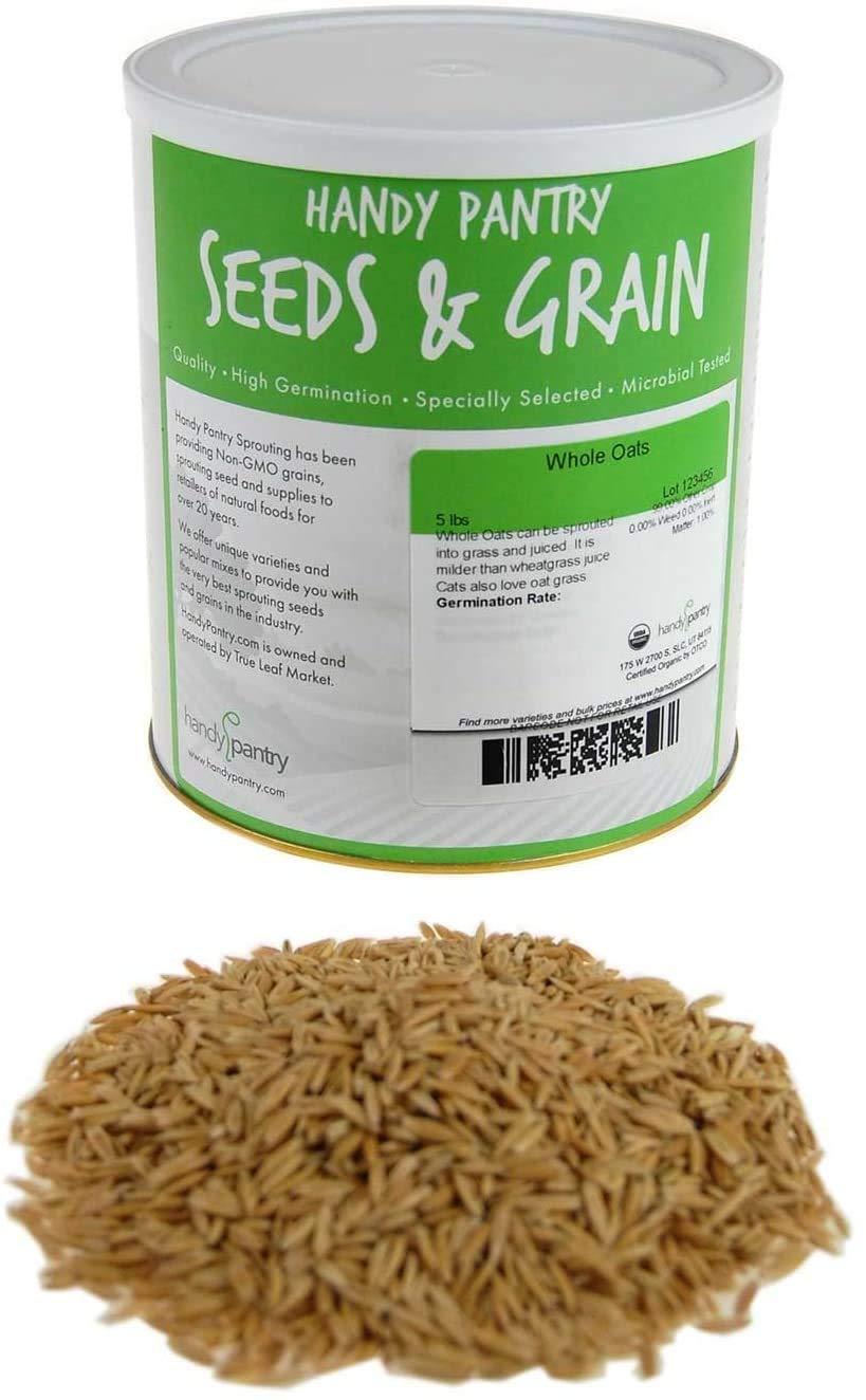 3.5 Lb Non-GMO Organic Whole Oat Groats (w/Husk) - Gluten Free Organic Oats - Whole Oats Organic for Sprouting, Steel Cut Oats Organic, Oat Berries, Oat Flour Organic, Oat Rice, and Livestock Feed