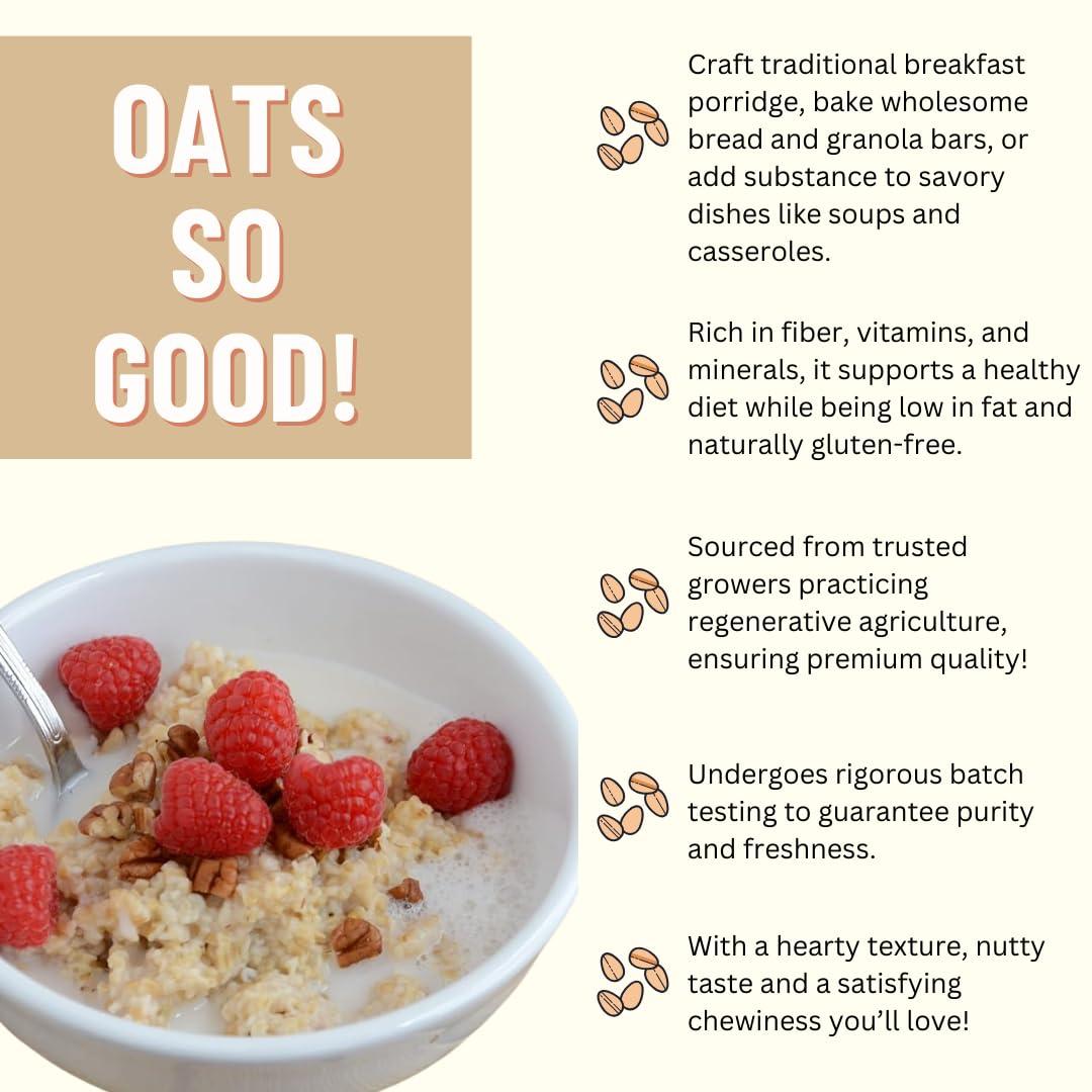 Mountain High Organics Inc. Certified Organic Steel Cut Oats 6G Bucket (42LBS) - Image 3