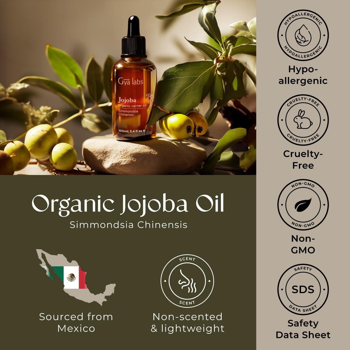 Gya Labs Organic Jojoba Oil for Hair & Skin - 100% Pure Natural Unrefined Jojoba Carrier Oil for Body, Ear Stretch, Nails, Makeup Remover & Facial Moisturizer (3.4 Fl Oz) - Image 6