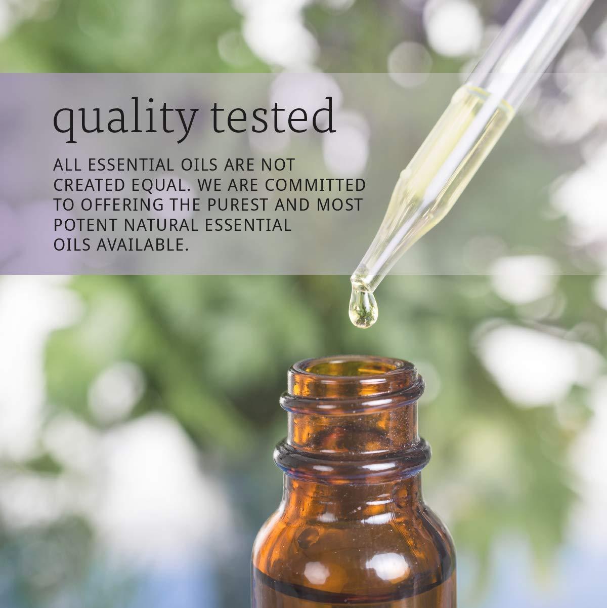 NOW Essential Oils, Frankincense Oil Blend, 20% Blend of Pure Frankincense Oil in Pure Jojoba Oil, Centering Aromatherapy Scent, Steam Distilled, Vegan, Child Resistant Cap, 1-Ounce - Image 9