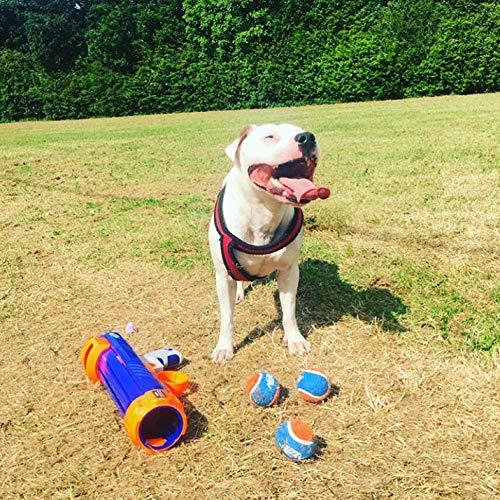 Nerf Dog Tennis Ball Blaster Dog Toy Blue/Orange, 16 Inch Compact Blaster with 1 Ball - Image 2