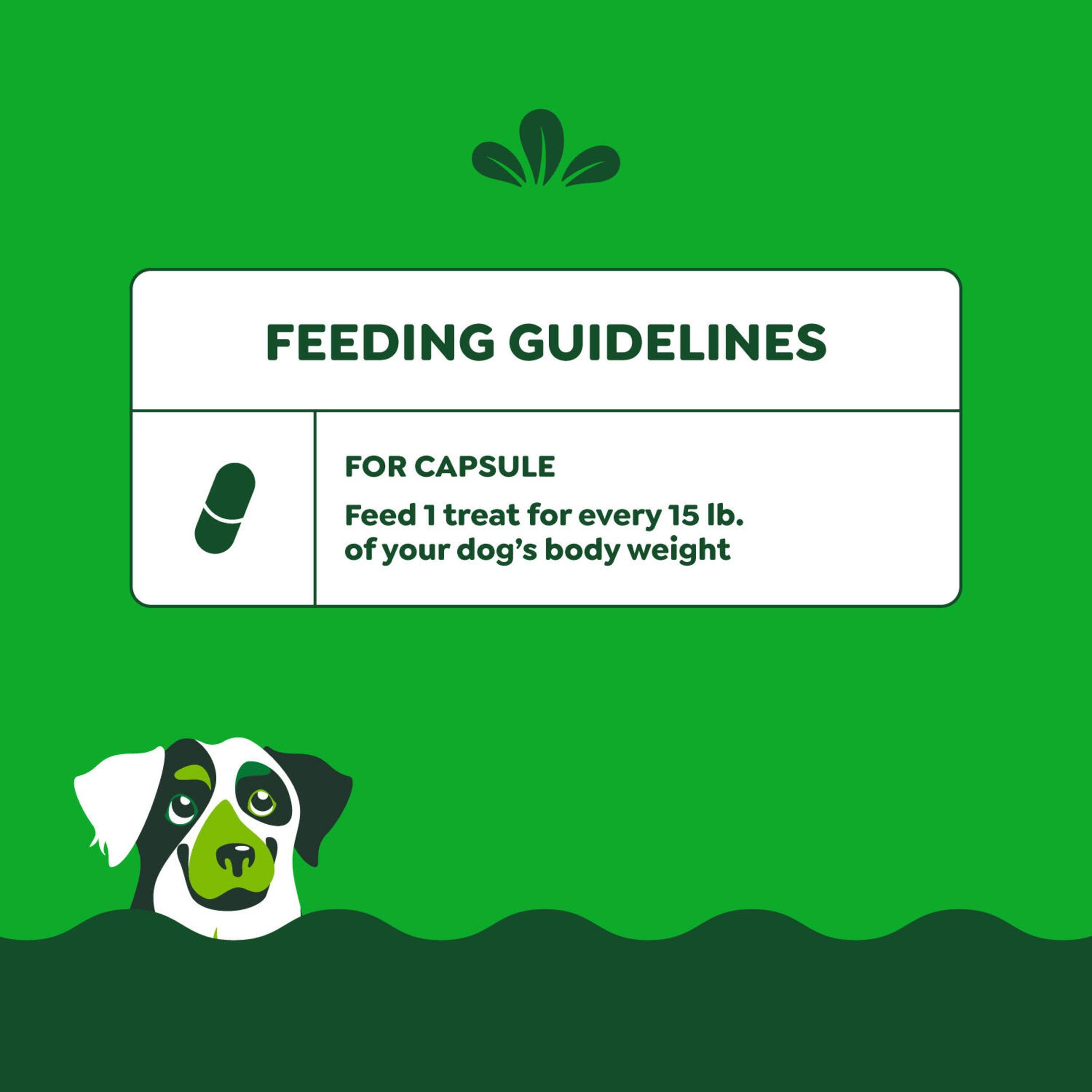 Greenies Pill Pockets for Dogs Large Size, Soft Dog Treats, Chicken Flavor, 15.8 oz. Pouch (60 Treats) - Image 7