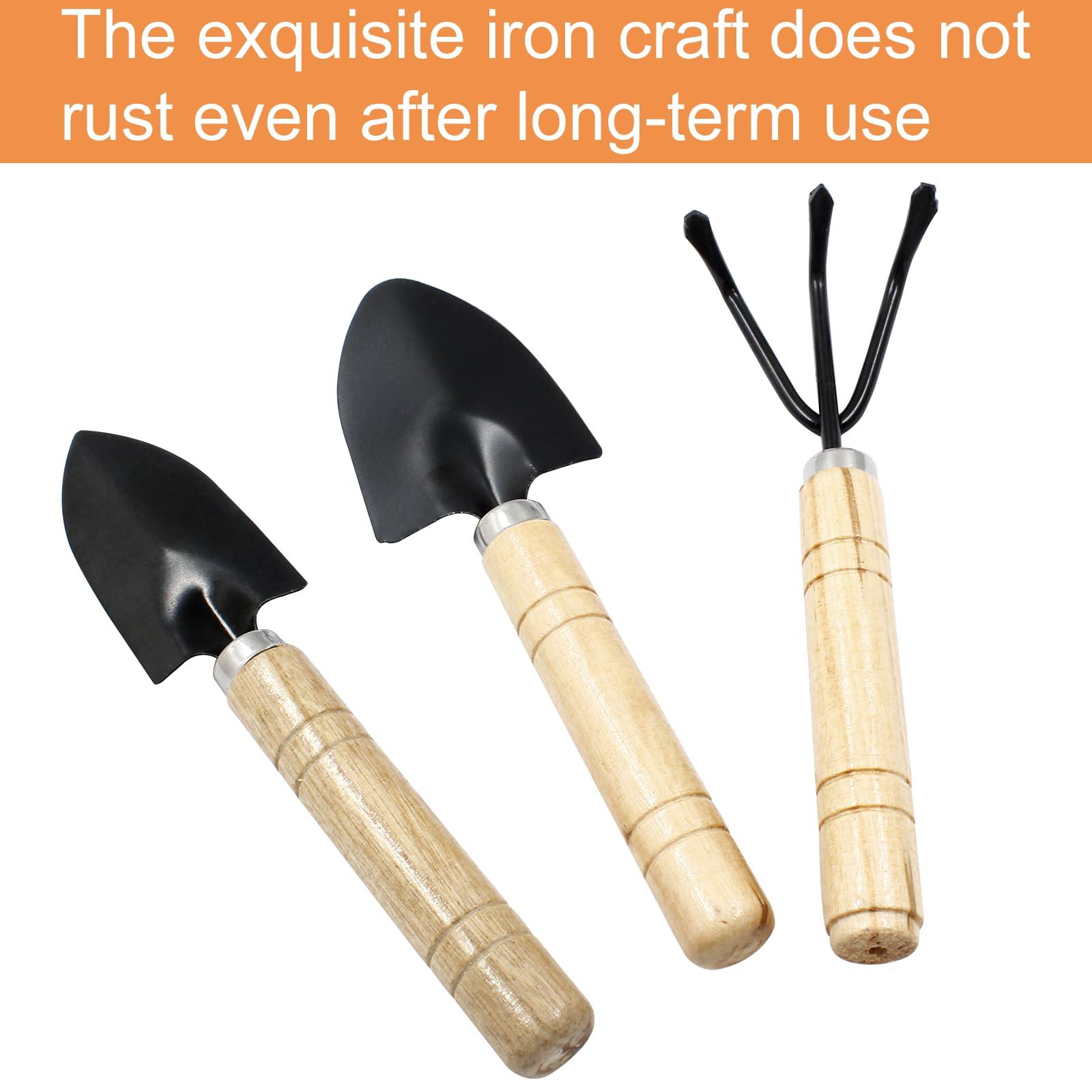 Waziaqoc 3Pcs Mini Garden Tools, Small Indoor Gardening Tools Includes Hand Shovel, Transplant Spade, Hand Rake with Wood Non Slip Handle for Plant Succulent, Flower, Vegetables - Image 4