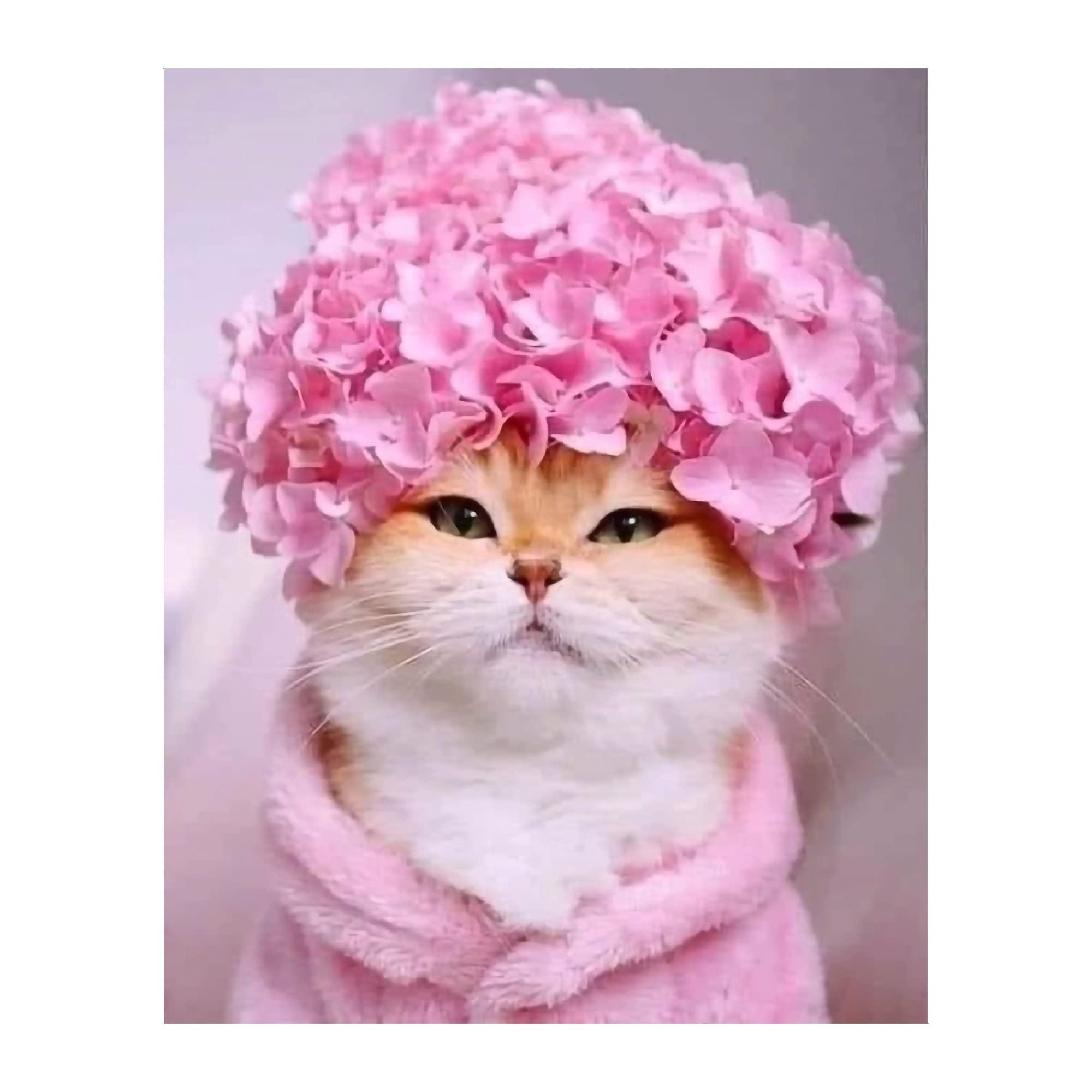 "Flower Hat Kitty" Animal Wall Art Print - 8x10" Cute Cat Photo Print Ideal for Home, Bedroom, Office, Nursery & Kids Room Decor, Great Gift for Cat Lovers! Unframed