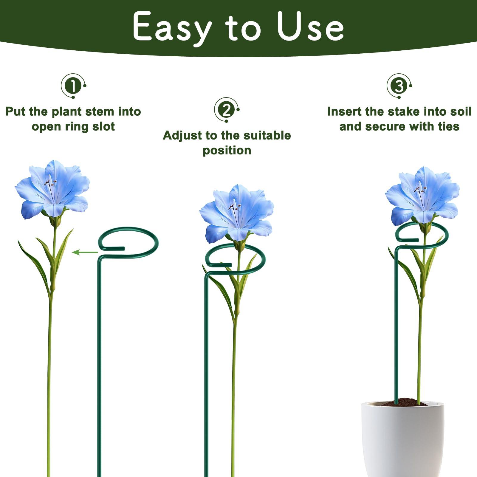 FEED GARDEN 16 Inch 12 Pack Plant Support Stakes, Metal Garden Flower Stakes and Supports for Outdoor Plants, Plant Stem Support with 24 Twist Ties for Amaryllis Lily Rose Peony Tomatoes Gladiolus - Image 6