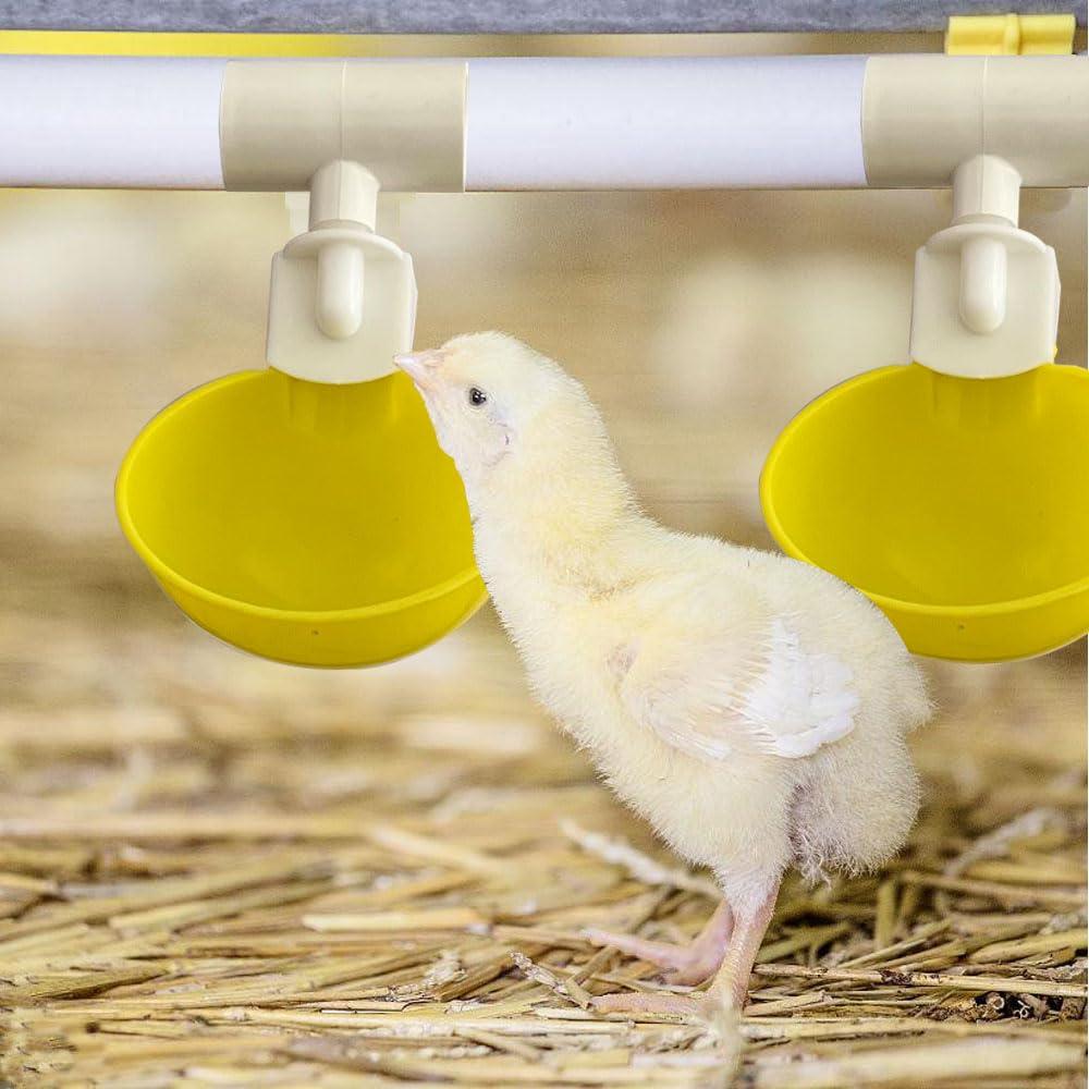 Complete Set Pipeline Automatic Chicken Watering System, 1/2" PVC Tee Fittings & PVC Pipe & Garden Hose, Chicken Water Cups, Poultry Waterer, Automatic Chicken Waterer, Chicken Nipple Waterer - Image 6