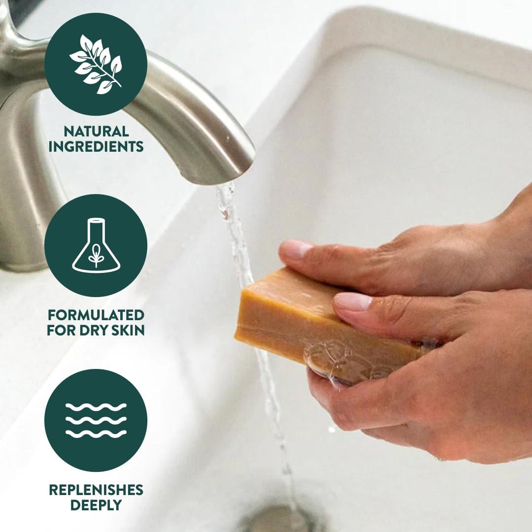 Crate 61 Organics, Handmade in Canada, Plant Based Cold Process Natural Bar Soap, With Premium Essential Oils, Dry Skin, Pack of 6 (For Him) - Image 7