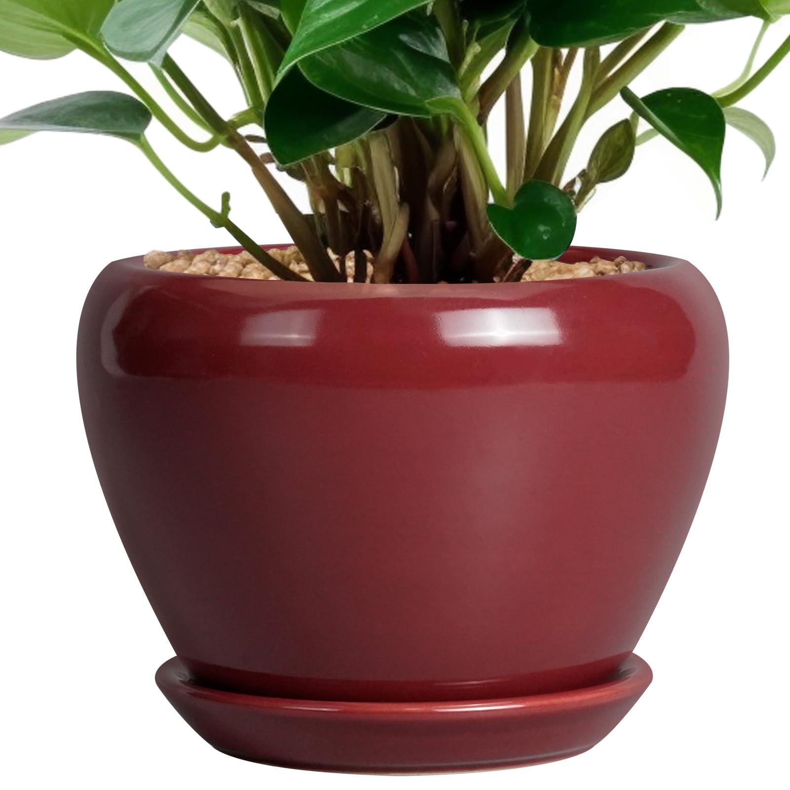 Ceramicfor Ceramic Pot for Plants - 6 Inch Plant Pot Indoor with Drainage Hole and Saucer Succulent Outdoor Planter Round Flower Pot for House Patio Decor Red