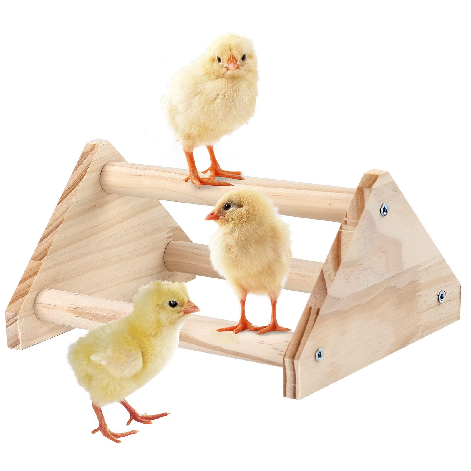 GINTUTO Chicken Perch Strong Pine Wooden Chick Jungle Gym Roosting Bar, Chick Perch Toys for Coop and Brooder for Large Bird Baby Chicks Parrot (Small) - Image 2