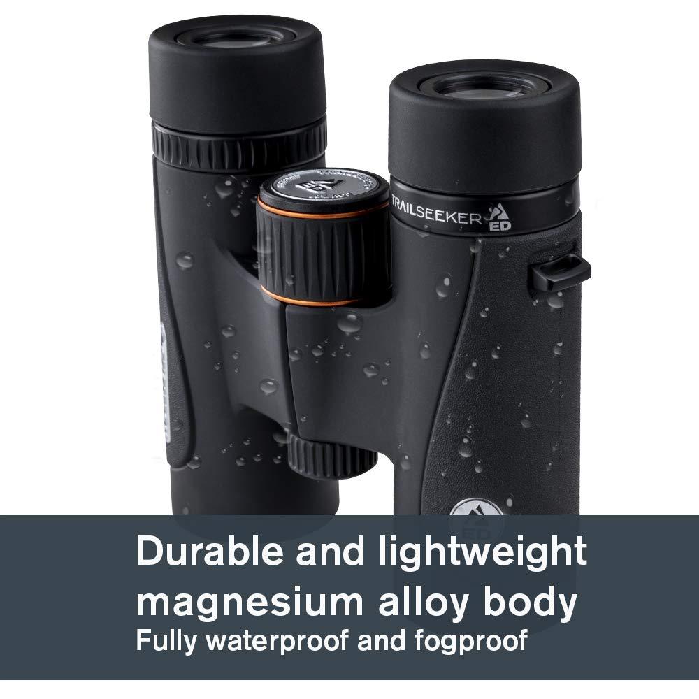 Celestron 71401 TrailSeeker ED 8 x 32 Roof Prism Binocular, Fully Broadband Multi-Coated Lens, BaK-4 Prism Glass, Black - Image 3