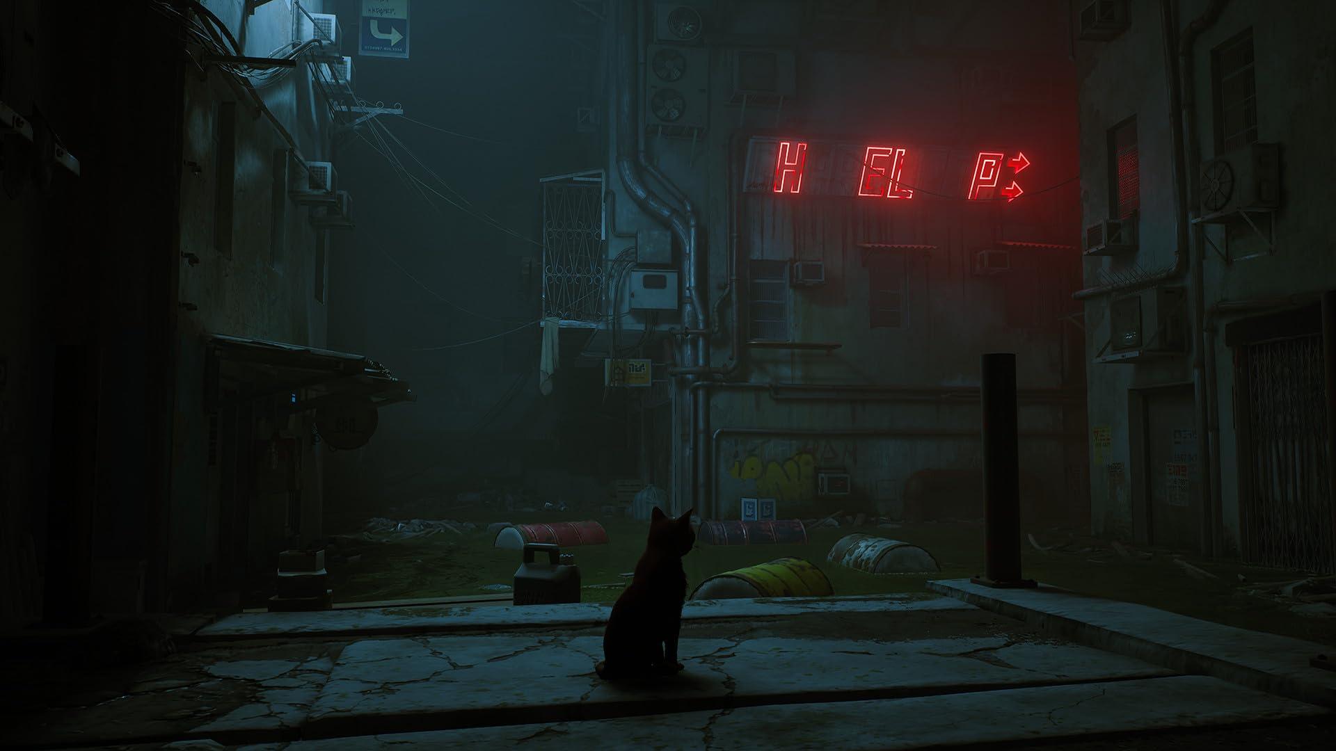 Stray - Nintendo Switch - Image 6