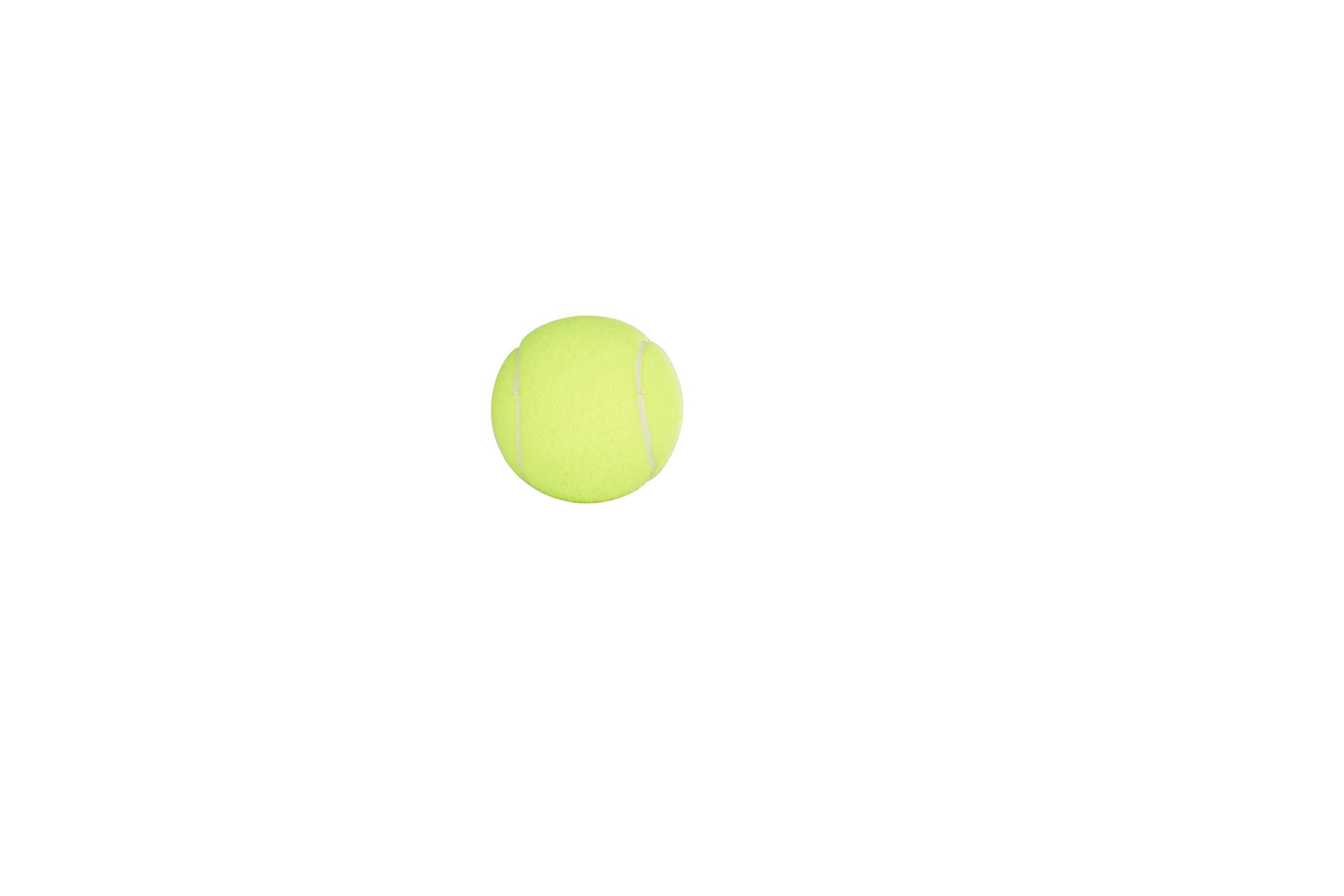 Penn Championship Tennis Balls - Regular Duty Felt Pressurized Tennis Balls - Image 3